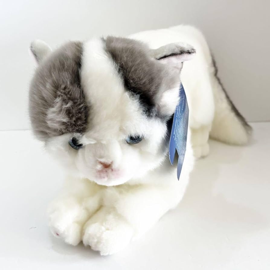 ⭐️新品⭐️ ブリティッシュショートヘア 青い猫のぬいぐるみ リアル Amazon.co.jp: ?? ?? ブリティッシュショートヘア 青い猫の
